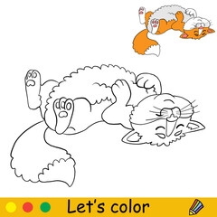 Cute cat lying on his back coloring with template