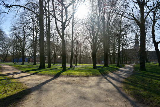 Forked Path in Spring with Sun, Husum Schlosspark, Schleswig-Holstein, Germany