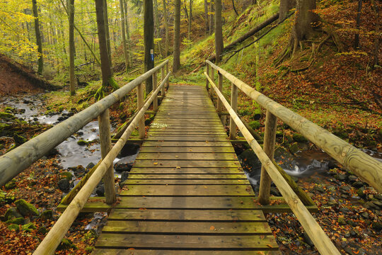 Wooden Bridge over Stream in Forest, Kaskadenschlucht, Sandberg, Gersfeld, Rhon Mountain Range, Hesse, Germany