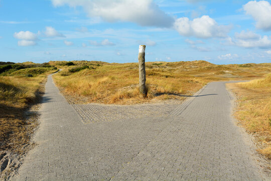 Forked Path through the Dunes to the Beach, Summer, Norderney, East Frisia Island, North Sea, Lower Saxony, Germany