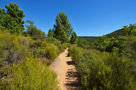 Trail through Ochre Breakage in Summer, Colorado Provencal, Rustrel, Vaucluse, Provence, France