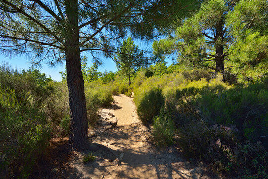 Trail through Ochre Breakage in Summer, Colorado Provencal, Rustrel, Vaucluse, Provence, France