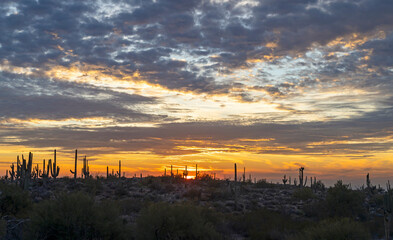 Wide Ratio Arizona Sunset Desert Landscape Near Scottsdale
