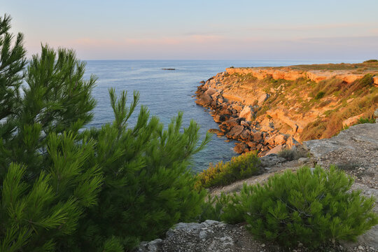 Stone Coast in Morning, Anse de Boumandariel, La Couronne, Martigues, Cote Bleue, Mediterranean Sea, Bouches-du-Rhone, Provence-Alpes-Cote d'Azur, France