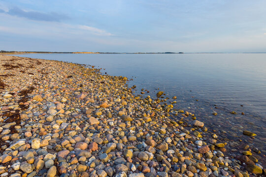 Pebble Beach in Evening, Fyns Hoved, Hindsholm, Kerteminde Municipality, Funen, Baltic Sea, Denmark