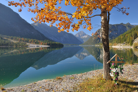 Wooden Cross Beneath Poplar Tree in Autumn, Plansee, Tyrol, Austria