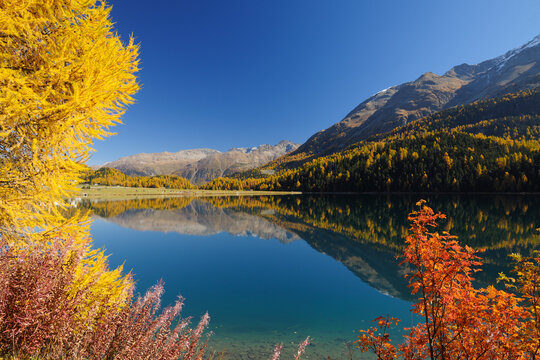 Autumn andscape, Lake Silvaplana, Engadin, Grisons, Switzerland