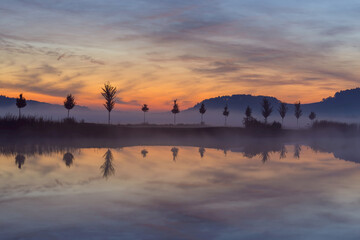 Landscape with Row of Trees Reflecting in Lake at Dawn, Drei Gleichen, Ilm District, Thuringia, Germany