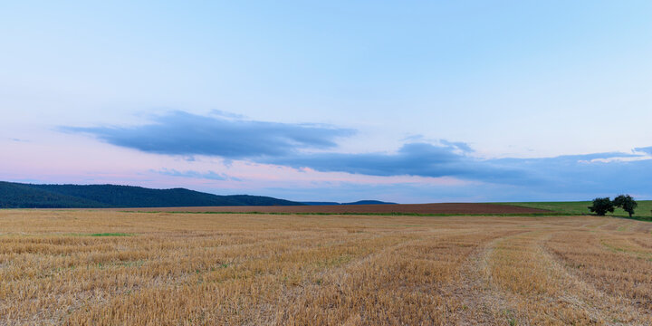 Harvested cereal grain field at dusk in summer at Roellbach in the Spessart hills in Bavaria, Germany