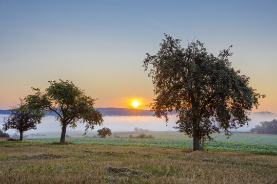Countryside with morning mist over fields with apple trees at sunrise in Grossheubach in Bavaria, Germany