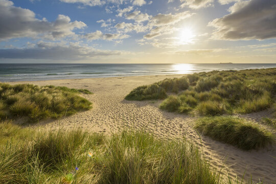 Grassy sand dunes with the sun shining over the beach and the North Sea in the morning at Bamburgh in Northumberland, England, United Kingdom
