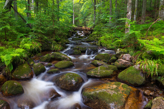 Mountain stream after rain at Kleine Ohe at Waldhauser in the Bavarian Forest National Park in Bavaria, Germany