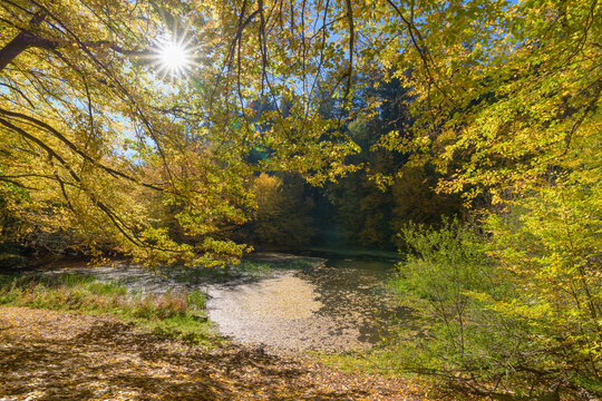 Pond with colorful autumn leaves, Rothenbuch, Hafenlohrtal, Spessart, Bavaria, Germany