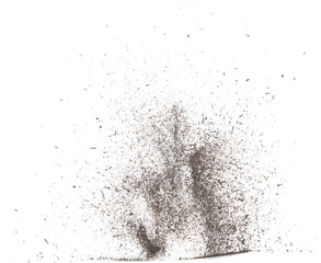 Black dried leave Tea explode. Small Fine size tea leaf flying explosion, Abstract cloud fly. Brown colored Teas splash throwing in Air. White background Isolated high speed shutter, throwing freeze