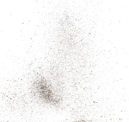 Fototapeta na wymiar Black dried leave Tea explode. Small Fine size tea leaf flying explosion, Abstract cloud fly. Brown colored Teas splash throwing in Air. White background Isolated high speed shutter, throwing freeze
