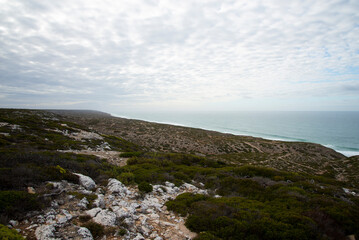 Naklejka premium Great Australian Bight Marine Park