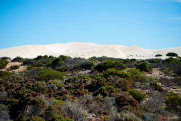 Point Sinclair Sand Dunes - South Australia