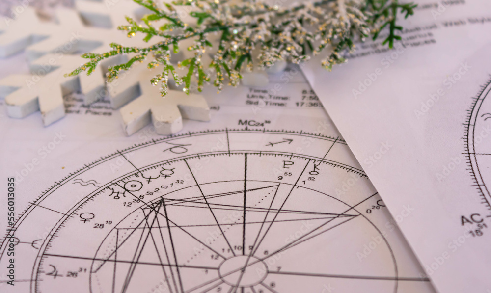Wall mural astrological natal charts with a snowflake and a fragile branch, winter concept