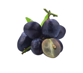 Grapes. Red grape. Grape branch isolated transparent png