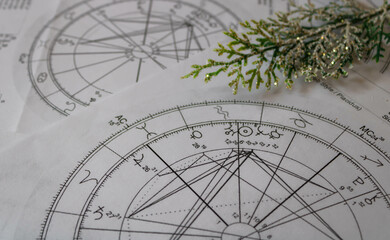 Astrological natal charts with a small fragile shiny branch, winter and holiday concept