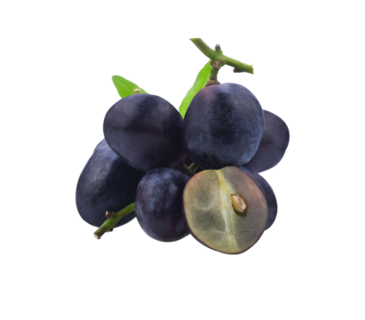 Grapes. Red grape. Grape branch isolated transparent png