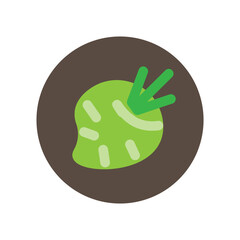 Obraz premium Celeriac Flat Icon
