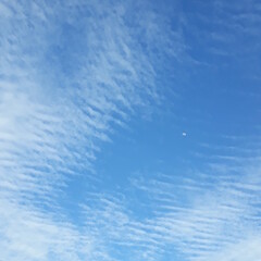 Fototapeta na wymiar landscape blue sky, moon and white clouds