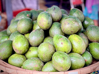 aguacate at the Fresh Fruits Market, Chiang Mai, Thailand