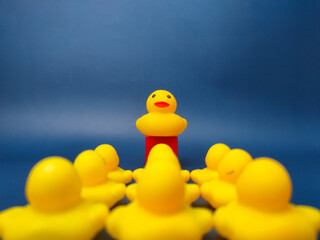 Group of toy ducks with leadder. Leadder and teamwork concept