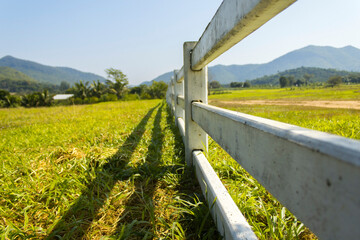 Close up of cement fence at farm, natural agricultural lawn