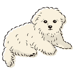 マルプーのイラスト（マルチーズとトイプードルのミックス犬）