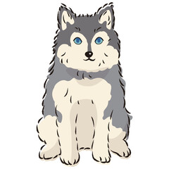 ポンスキーのイラスト（ポメラニアンとシベリアンハスキーのミックス犬）