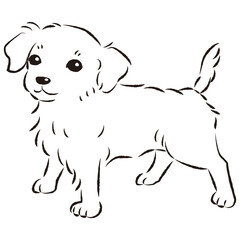 チワックスのイラスト（チワワとダックスフントのミックス犬）