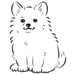ポメチワのイラスト（ポメラニアンとチワワのミックス犬）