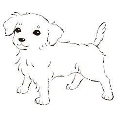 チワックスのイラスト（チワワとダックスフントのミックス犬）