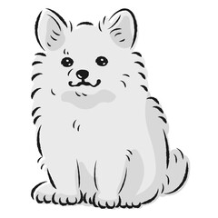 ポメチワのイラスト（ポメラニアンとチワワのミックス犬）