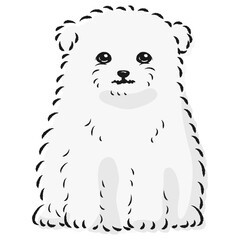 マルポメのイラスト（マルチーズとポメラニアンのミックス犬）