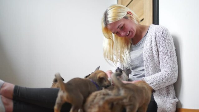Caring caucasian young adult woman sits on wooden floor in a room and plays with saved mixed-breed puppies. Temporary home concept. High quality 4k footage
