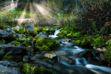 Mountain creek with mossy stones and sunbeams shinning through the trees