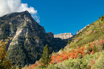 Rocky mountains in autumn with fall colors on the aspen trees