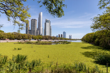 Fototapeta na wymiar Buenos Aires Argentina skyline from Reserva Ecologica de Buenos Aires park