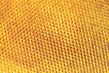 Background texture and pattern of a section of wax honeycomb from a bee hive filled with golden...