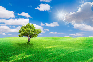 Fototapeta na wymiar green field and blue sky with light clouds,Image of green grass field and bright blue sky. Plain landscape background for summer poster. The best view for holiday.