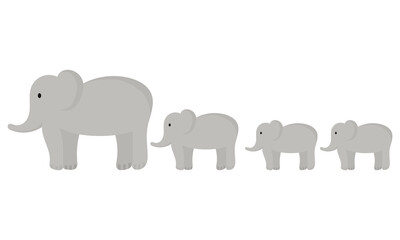 illustration of elephant mother and baby elephant on white background