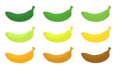 Obraz premium a collection of banana illustrations based on the level of ripeness on a white background