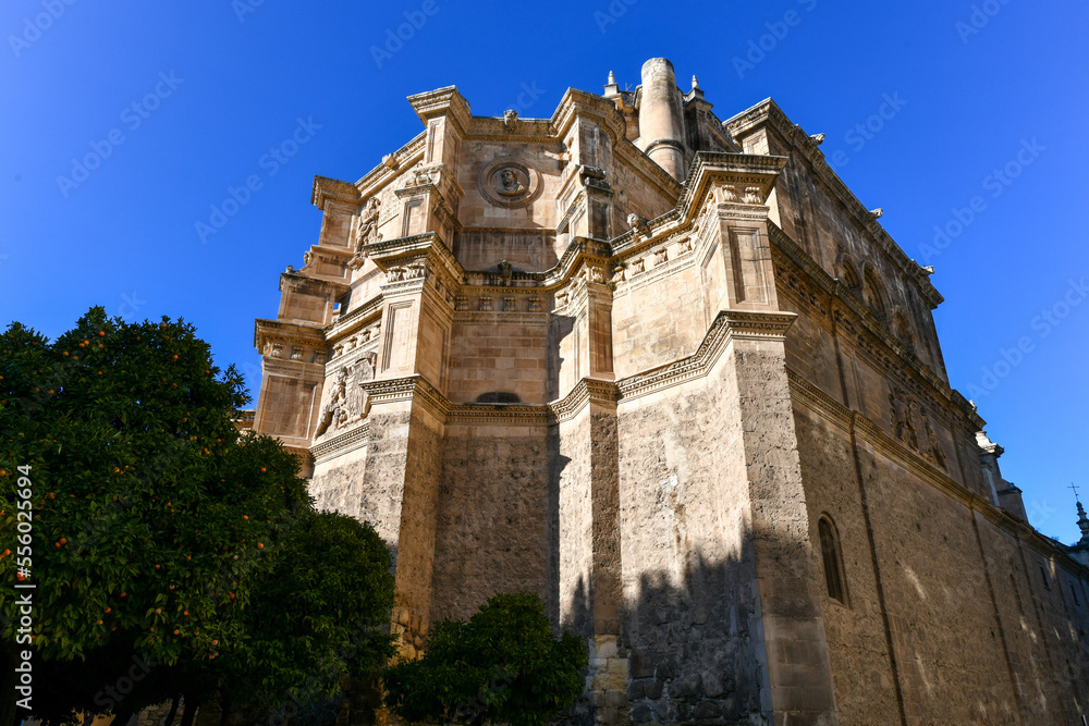 Wall mural cathedral of granada - spain