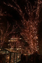 christmas tree at night