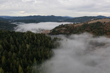 Fototapeta na wymiar Redwood Highway in Northern California