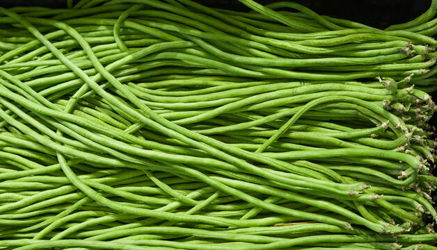 fresh green cowpea as food background