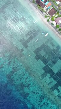Vertical aerial video of the algae plantation in the shallow water of Nusa Penida.